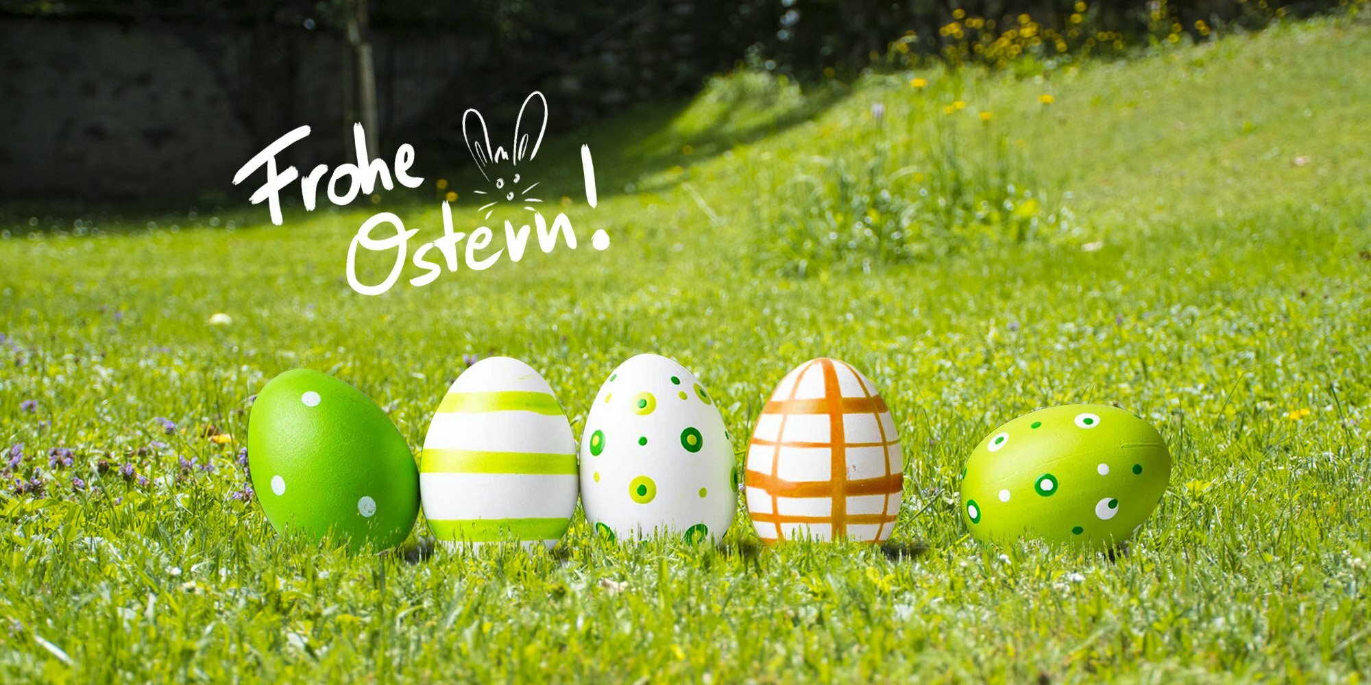 Fünf dekorierte Ostereier in Grün und Weiß stehen auf Gras in einer sonnigen Umgebung im Freien und symbolisieren Frische und Naturstrom. Frohe Ostern! mit Hasenohren steht in weißer Schrift über den Eiern.