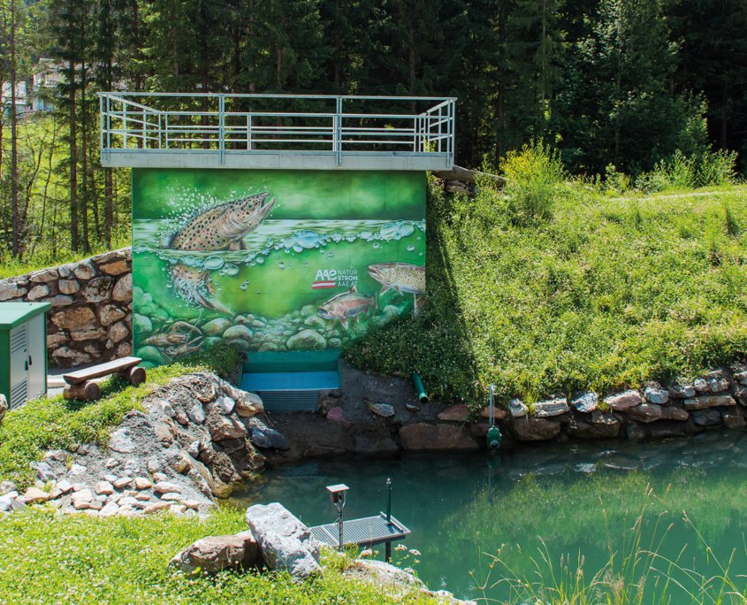 Wasserkraftwerk mit Relief von Forelle, davor Speicherteich