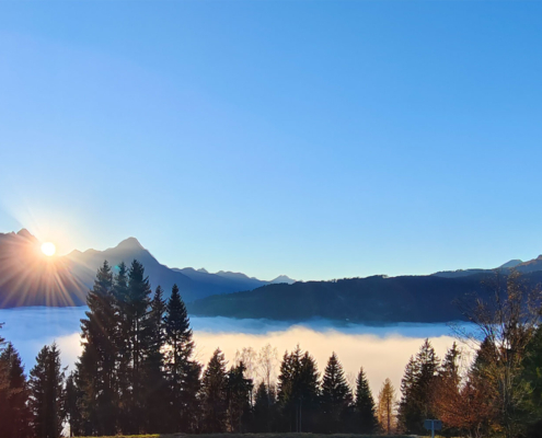 Landschaftsbild Berge mit Sonnenaufgang im Hintergrund. Bäume im Vordergrund.