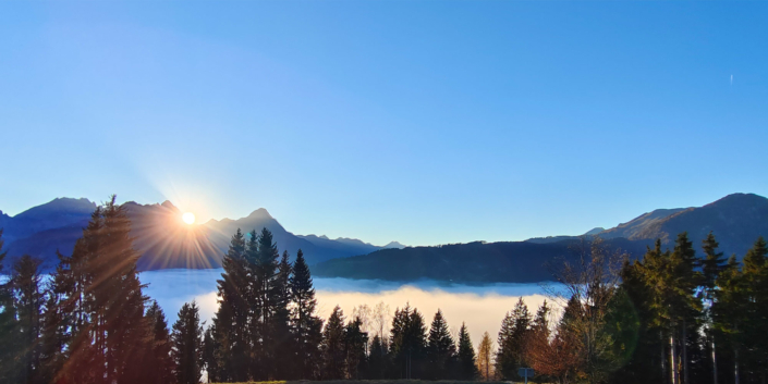 Landschaftsbild Berge mit Sonnenaufgang im Hintergrund. Bäume im Vordergrund.